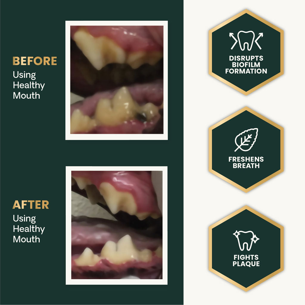 VetriScience Perio Support Dental Powder for Cats & Dogs