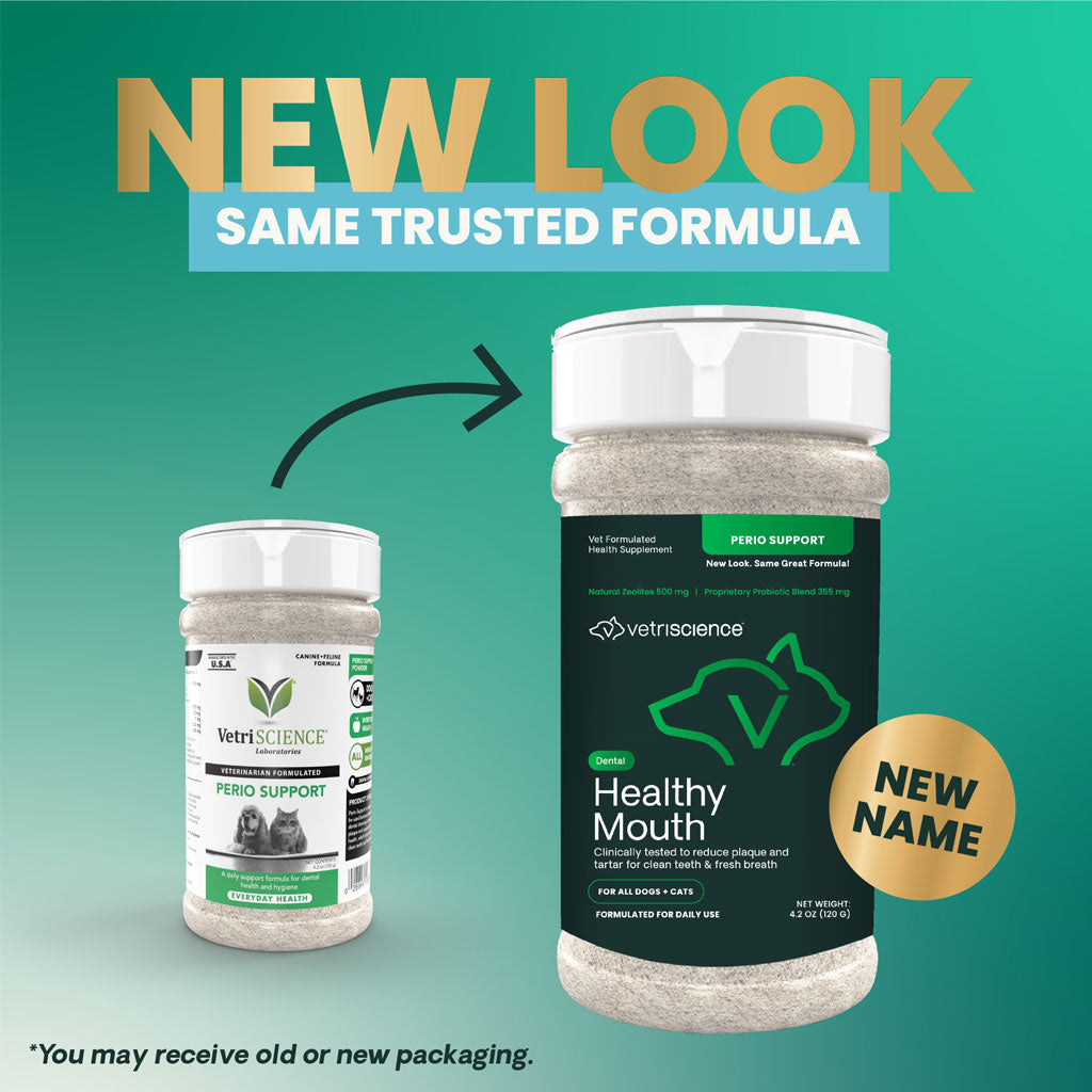 VetriScience Perio Support Dental Powder for Cats & Dogs
