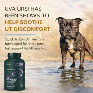 VetriScience Quick Action UT Health Tablet for Dogs (90 Chewable Tablets) - Dog Supplements & Vitamins 2