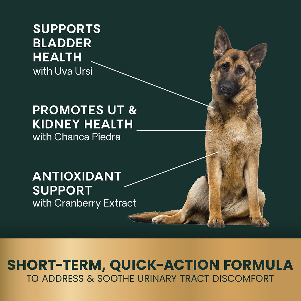VetriScience Quick Action UT Health Tablet for Dogs | HardyPaw