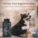 VetriScience Quick Action UT Health Tablet for Dogs (90 Chewable Tablets) - Dog Supplements & Vitamins 6