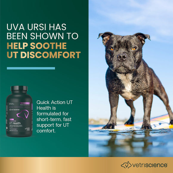 Quick Action UT Health Tablet for Dogs