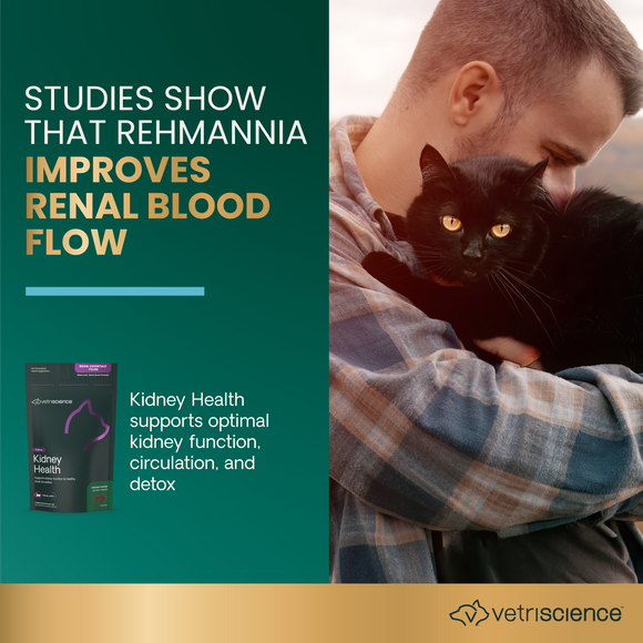 VetriScience Renal Essentials Kidney Supplement for Cats (120 Bite-Sized Chews) - Cat Supplements & Vitamins 3