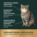 VetriScience Renal Essentials Kidney Supplement for Cats (120 Bite-Sized Chews) - Cat Supplements & Vitamins 5