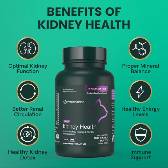 VetriScience Renal Essentials Kidney Supplement for Cats (60 chewable tablets) - Cat Supplements & Vitamins 5