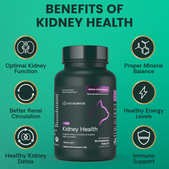 VetriScience Renal Essentials Kidney Supplement for Cats (60 chewable tablets)