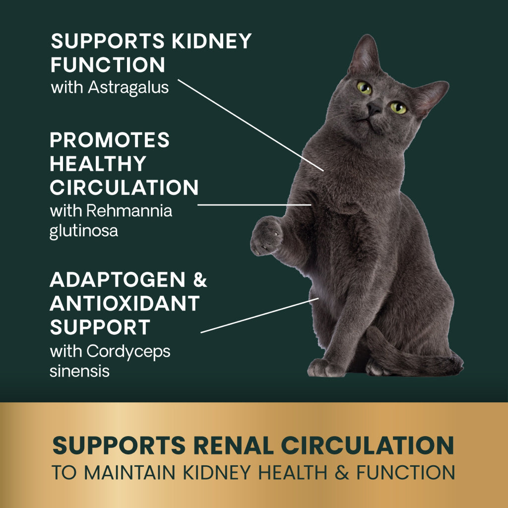 VetriScience Renal Essentials Kidney Chewable Tablets for Cat