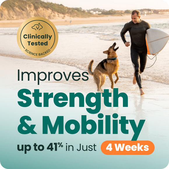 VetriScience Ultimate Strength Healthy Hip & Joint GlycoFlex Plus Soft Chews for Dogs Duck Flavor - Dog Vitamins &