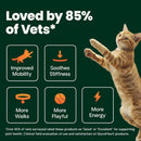 VetriScience Ultimate Strength Healthy Hip & Joint GlycoFlex Plus Chews for Cats (30 Soft Chews) - Cat Vitamins &