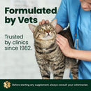 VetriScience Ultimate Strength Healthy Hip & Joint GlycoFlex Plus Chews for Cats (30 Soft Chews) - Cat Vitamins &