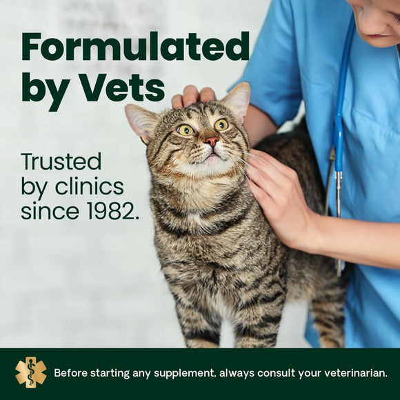 VetriScience Ultimate Strength Healthy Hip & Joint GlycoFlex Plus Chews for Cats (30 Soft Chews) - Cat Vitamins &