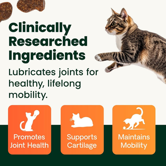 VetriScience Ultimate Strength Healthy Hip & Joint GlycoFlex Plus Chews for Cats (30 Soft Chews) - Cat Vitamins &