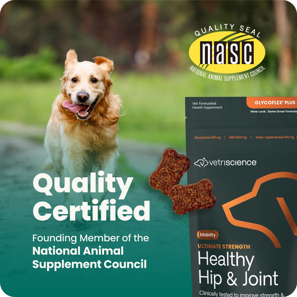VetriScience Ultimate Strength Healthy Hip & Joint GlycoFlex Plus Soft Chews for Dogs Duck Flavor - Dog Vitamins &