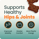 VetriScience Ultimate Strength Healthy Hip & Joint GlycoFlex Plus Soft Chews for Dogs Duck Flavor - Dog Vitamins &