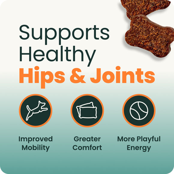 VetriScience Ultimate Strength Healthy Hip & Joint GlycoFlex Plus Soft Chews for Dogs Duck Flavor - Dog Vitamins &