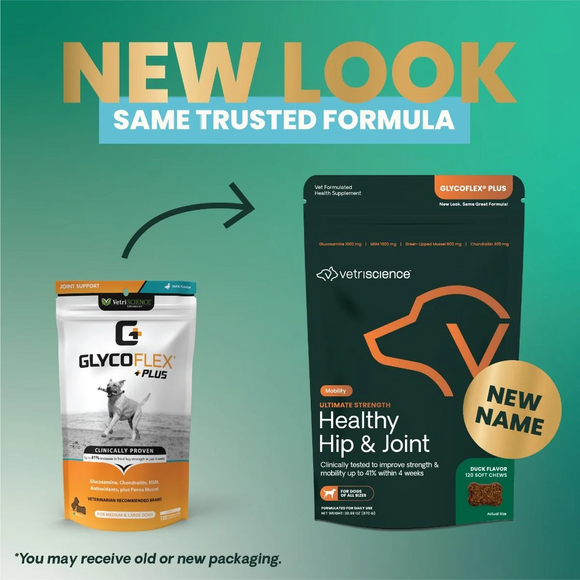 VetriScience GlycoFlex Plus Soft Chews for Dogs Duck Flavor - Dog Vitamins & Supplements 2
