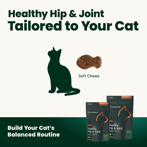 VetriScience Ultimate Strength Healthy Hip & Joint GlycoFlex Plus Chews for Cats (30 Soft Chews) - Cat Vitamins &