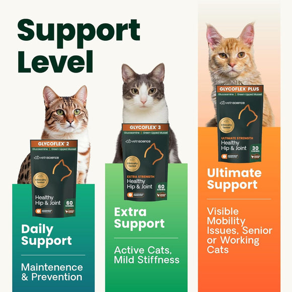 VetriScience Ultimate Strength Healthy Hip & Joint GlycoFlex Plus Chews for Cats (30 Soft Chews) - Cat Vitamins &