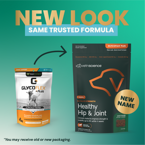 VetriScience Ultimate Strength Healthy Hip & Joint GlycoFlex Plus Soft Chews for Dogs Duck Flavor - Dog Vitamins &