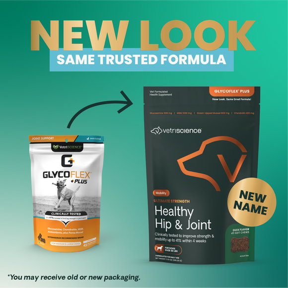 VetriScience Ultimate Strength Healthy Hip & Joint GlycoFlex Plus Soft Chews for Dogs Duck Flavor - Dog Vitamins &