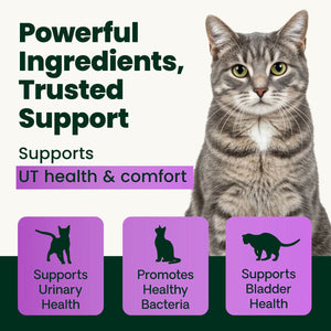 VetriScience UT Health Granules for Cats 2.75-oz - Cat Health Care & Wellness 2