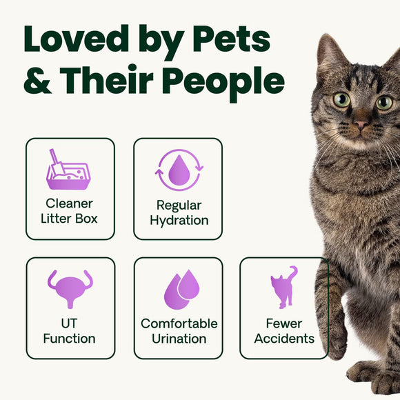 VetriScience UT Health Granules for Cats 2.75-oz - Cat Health Care & Wellness 5