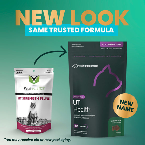 VetriScience UT Strength Urinary Tract Support for Cats (60 Soft Chews) - Cat Supplements & Vitamins 2