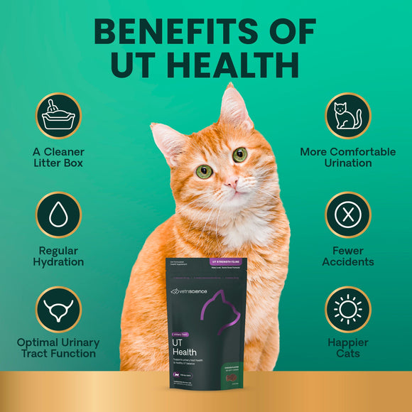 VetriScience UT Strength Urinary Tract Support for Cats (60 Soft Chews) - Cat Supplements & Vitamins 6