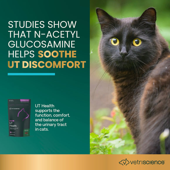 VetriScience UT Strength Urinary Tract Support for Cats (60 Soft Chews) - Cat Supplements & Vitamins 3