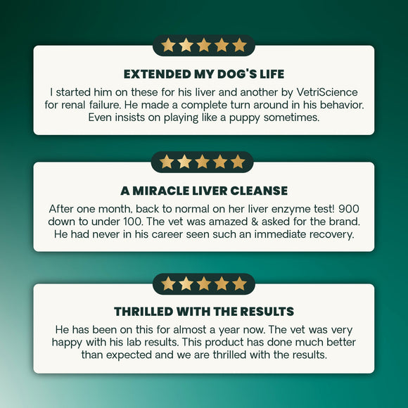 VetriScience Vetri Liver Supplement for Dogs (60 soft chews) - Dog Supplements & Vitamins 9
