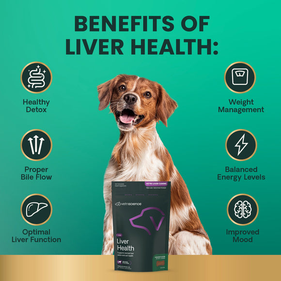 VetriScience Vetri Liver Supplement for Dogs (60 soft chews) - Dog Supplements & Vitamins 6