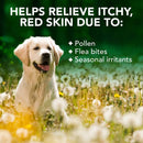 vet's best allergy itch relief dog shampoo