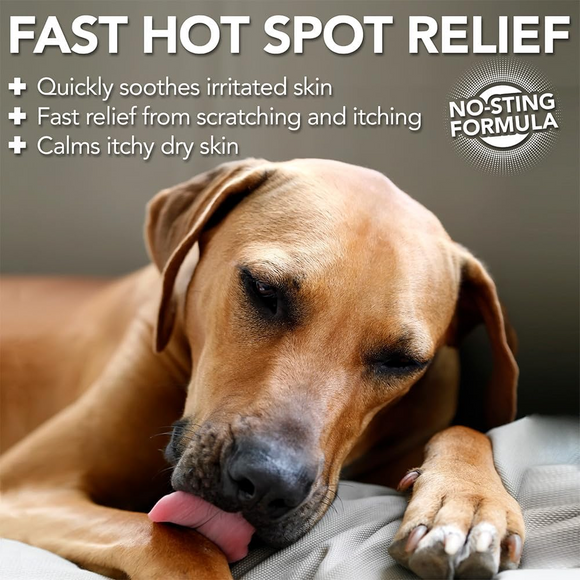 Vet’s Best Hot Spot Itch Relief Spray For Dogs - Dog Hot Spot & Itch Relief 2