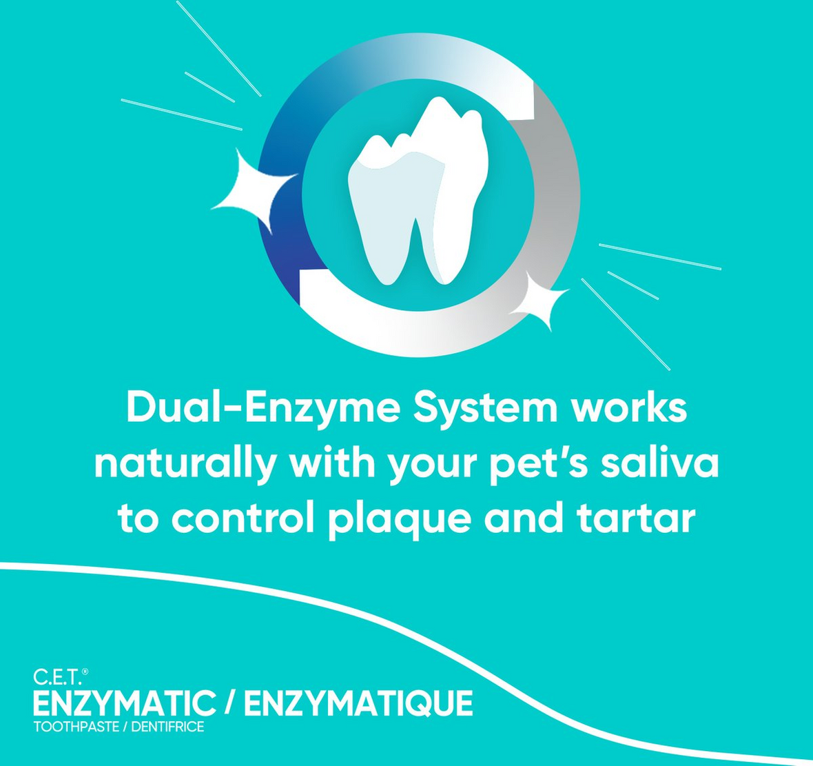 Virbac C.E.T. Enzymatic Dental Care Toothpaste for Pets