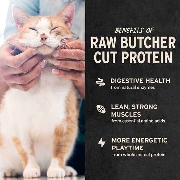 Vital Essentials Freeze-Dried Ahi Tuna Treats for Cats 1.1-oz - Cat Treats 8