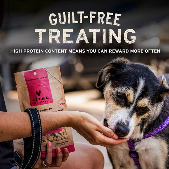 Vital Essentials Freeze-Dried Beef Tripe Nibs Treats for Dogs 14-oz - Dog Treats 2