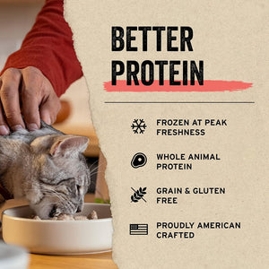 Vital Essentials Freeze-Dried Raw Minnows Treats For Cats