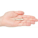 Vital Essentials Freeze-Dried Raw Minnows Treats For Cats