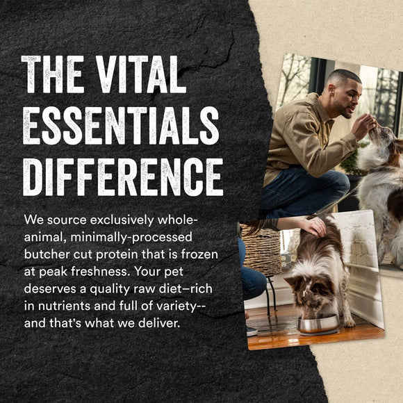 Vital Essentials Freeze-Dried Raw Protein Mix-In Ground Topper for Dogs - Dog Treats 6