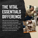 Vital Essentials Freeze-Dried Raw Protein Mix-In Ground Topper for Dogs - Dog Treats 14