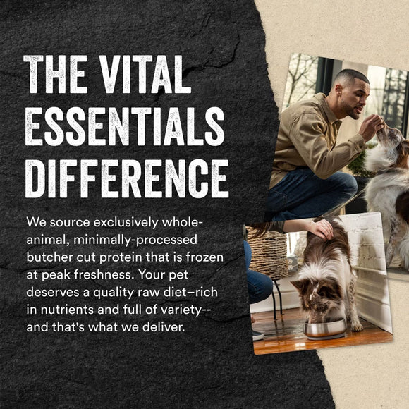 Vital Essentials Freeze-Dried Raw Protein Mix-In Ground Topper for Dogs - Dog Treats 14