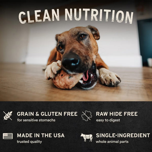 Vital Essentials Raw Bar Single Ingredient Freeze-Dried Dog 1-count - Dog Treats 6