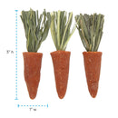 Ware Health-E Karrots Chew Treat for Small Animals