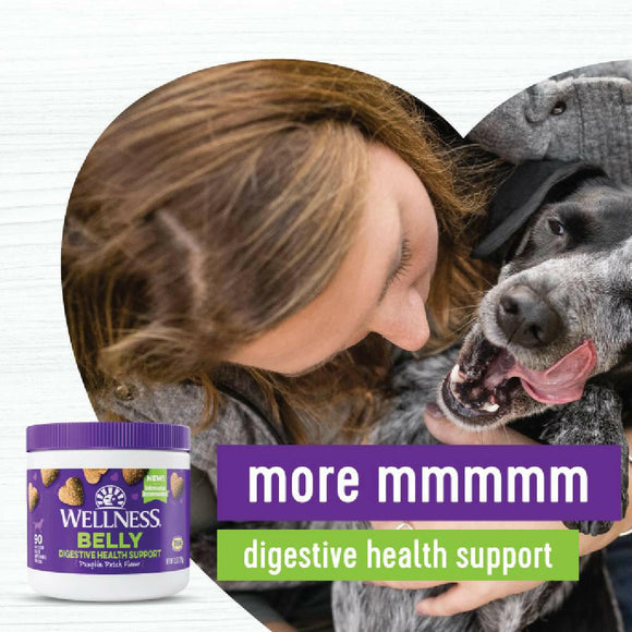 Wellness Belly Digestive Health Support Supplement for Dogs 45 count - Dog Digestive & Probiotics Supplements 6