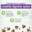 Wellness Belly Digestive Health Support Supplement for Dogs 45 count - Dog Digestive & Probiotics Supplements 2