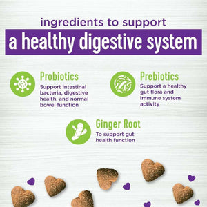 Wellness Belly Digestive Health Support Supplement for Dogs 45 count - Dog Digestive & Probiotics Supplements 2