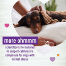 Wellness Move Hip & Joint Support Chicken Flavor Chew Supplement for Dogs (45 soft chews)