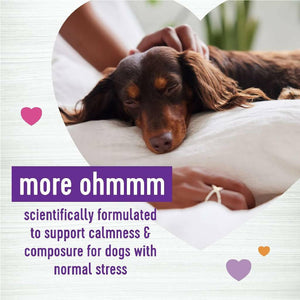 Wellness Move Hip & Joint Support Chicken Flavor Chew Supplement for Dogs (45 soft chews)