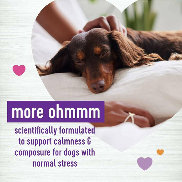 Wellness Move Hip & Joint Support Chicken Flavor Chew Supplement for Dogs (45 soft chews)