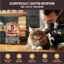 Wellness CORE Tiny Tasters Grain-Free Flaked Tuna & Salmon Wet Food for Cats (1.75 oz x 12 pouches)